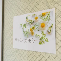 画像360